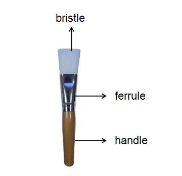 The Structure of makeup brush(图1)